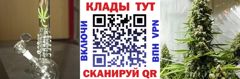 Наркошоп купить Alpha-PVP  Псилоцибиновые грибы  Cocaine  Меф  ГАШ  Бошки Шишки  Дигора