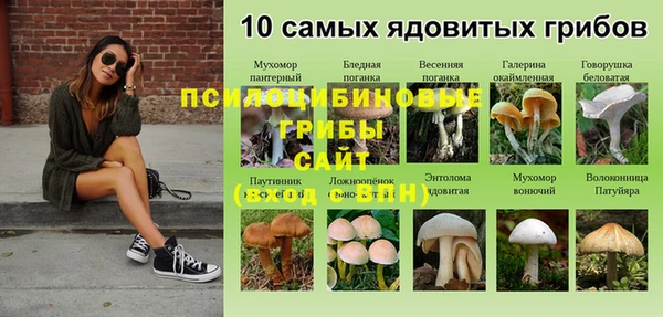 ешки Краснотурьинск