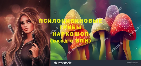ешки Краснотурьинск