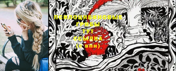 ешки Краснотурьинск