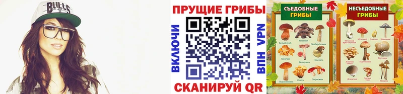 Галлюциногенные грибы ЛСД  Купить  Дигора 